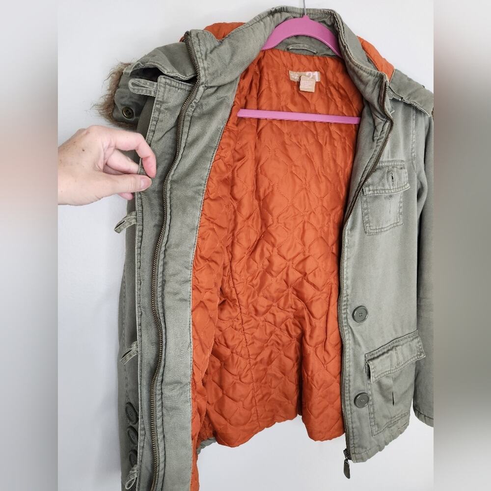 Jacket - Picture 3 of 5